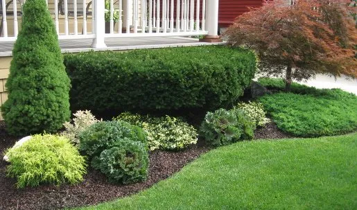 Trusted yard cleanup service for residential properties in Regency, VA by Cutting Grass Pro