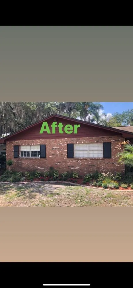Top-rated landscaping services for year-round maintenance in Greater Northdale, FL by Cutting Green