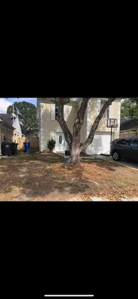Professional landscaping services in Greater Northdale, FL - Cutting Green