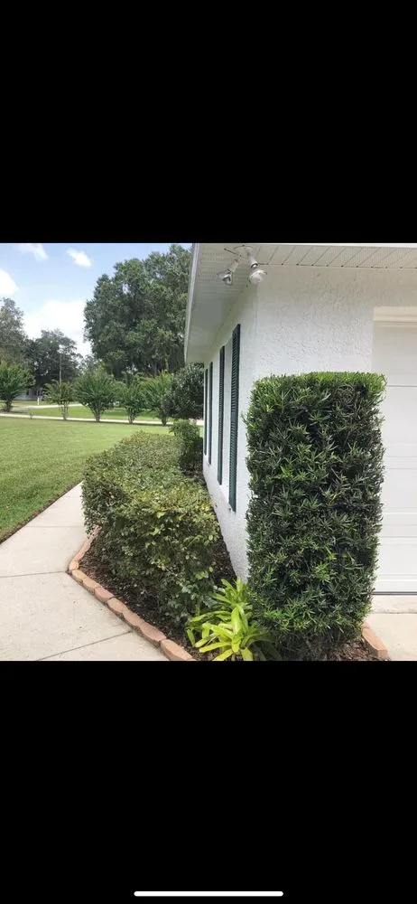Professional landscape design experts serving Greater Northdale, FL - Cutting Green