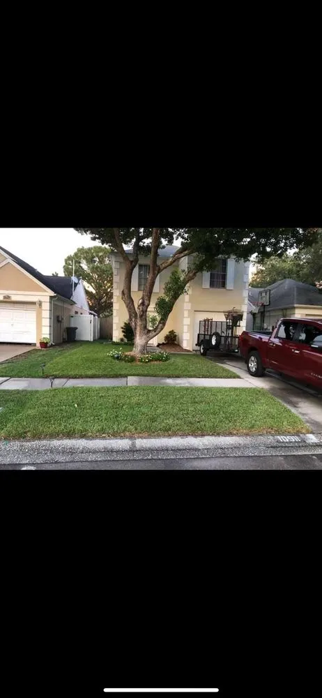 Expert garden landscaping in Greater Northdale, FL - Cutting Green