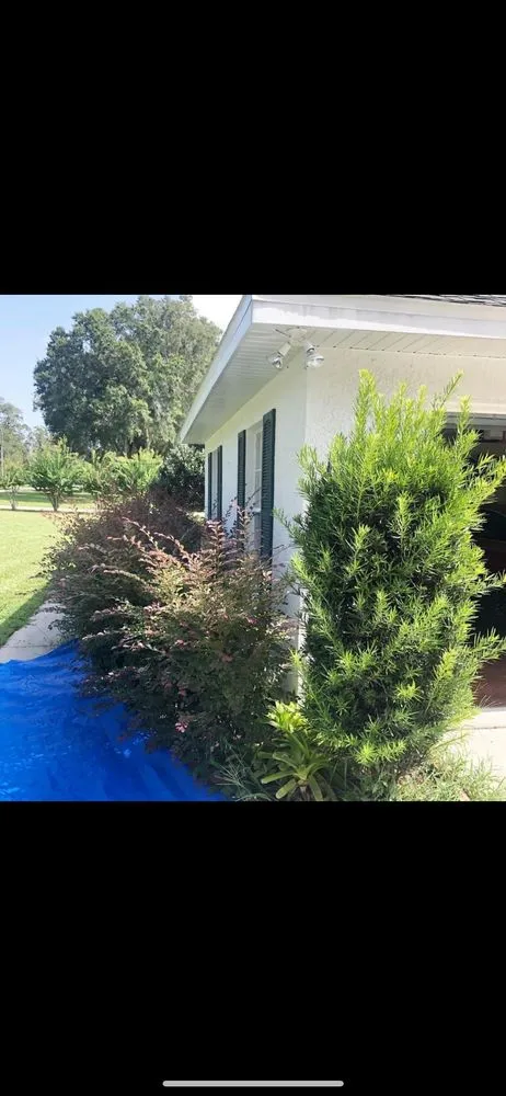 Trusted outdoor landscaping in Greater Northdale, FL - Cutting Green