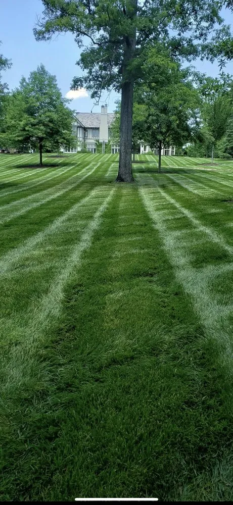 Trusted landscaping services in Atlanta, GA by Cutting Green Landscaping