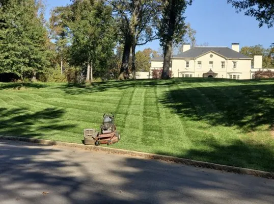 Cutting Green Landscaping Logo