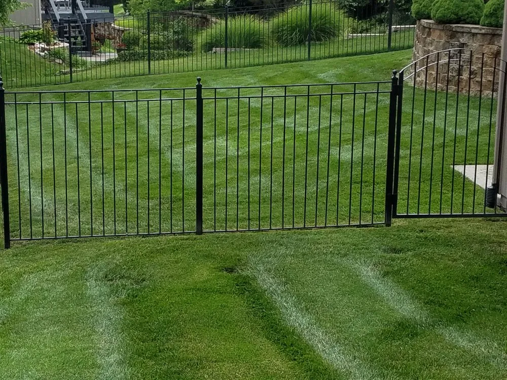 Affordable yard cleanup service in Kansas City, MO - Cutting Green Lawn Care
