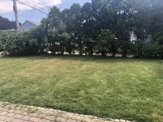 Cutting up Landscaping