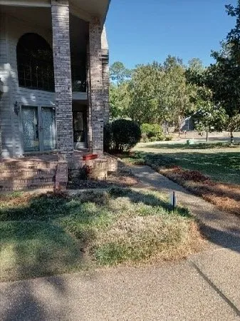 Expert yard maintenance experts serving Jackson, MS - Cutting Up Lawn Service