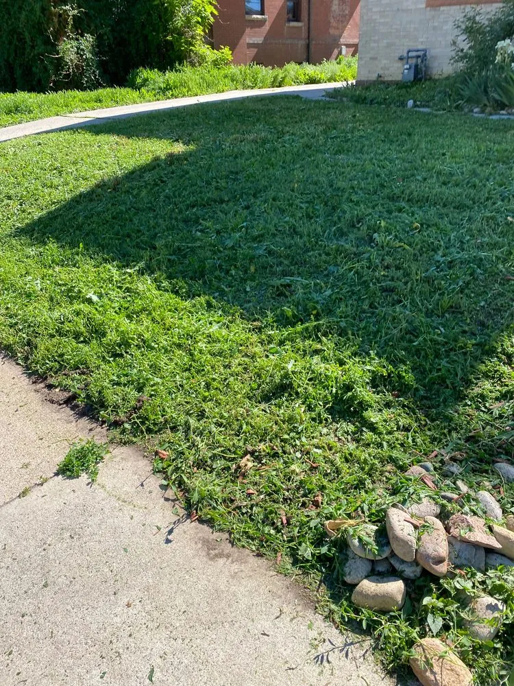 Affordable lawn care service in Commerce City, CO by Cutting4College