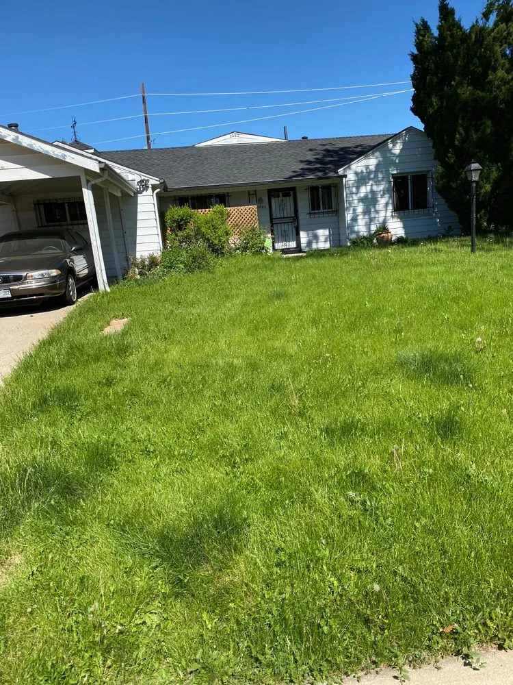 Top-rated landscaping services in Commerce City, CO by Cutting4College