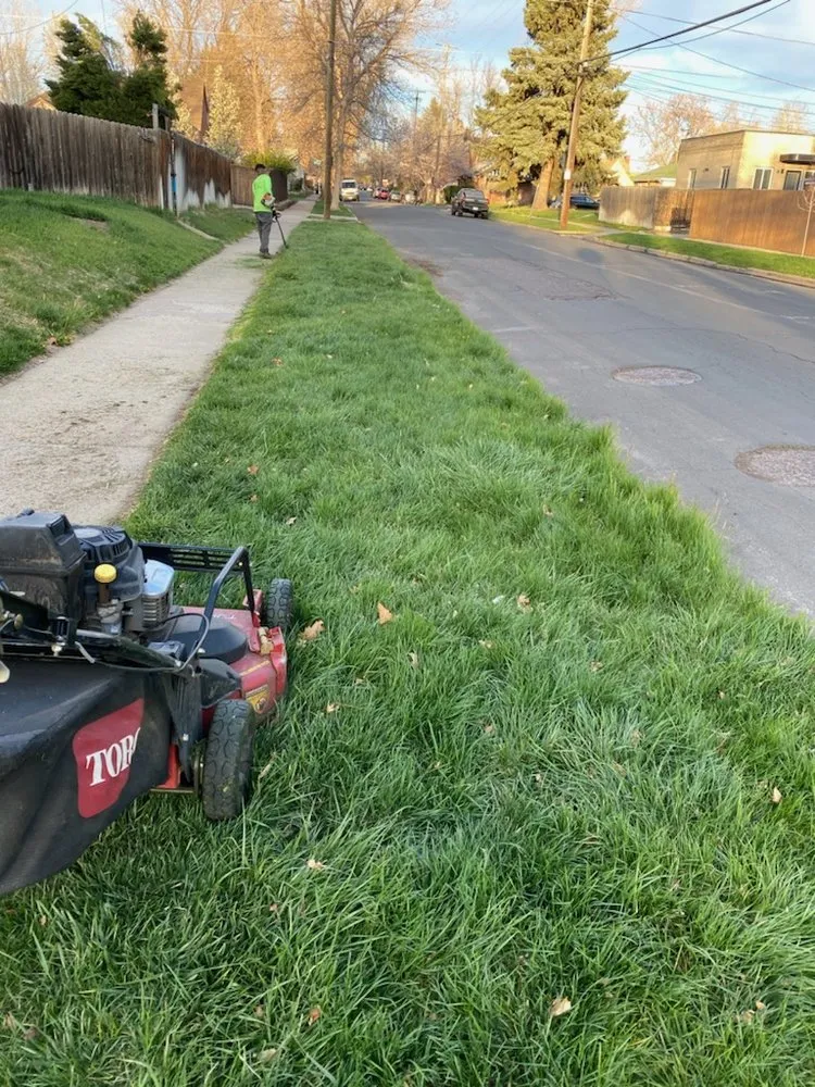 Professional residential landscaping in Commerce City, CO - Cutting4College