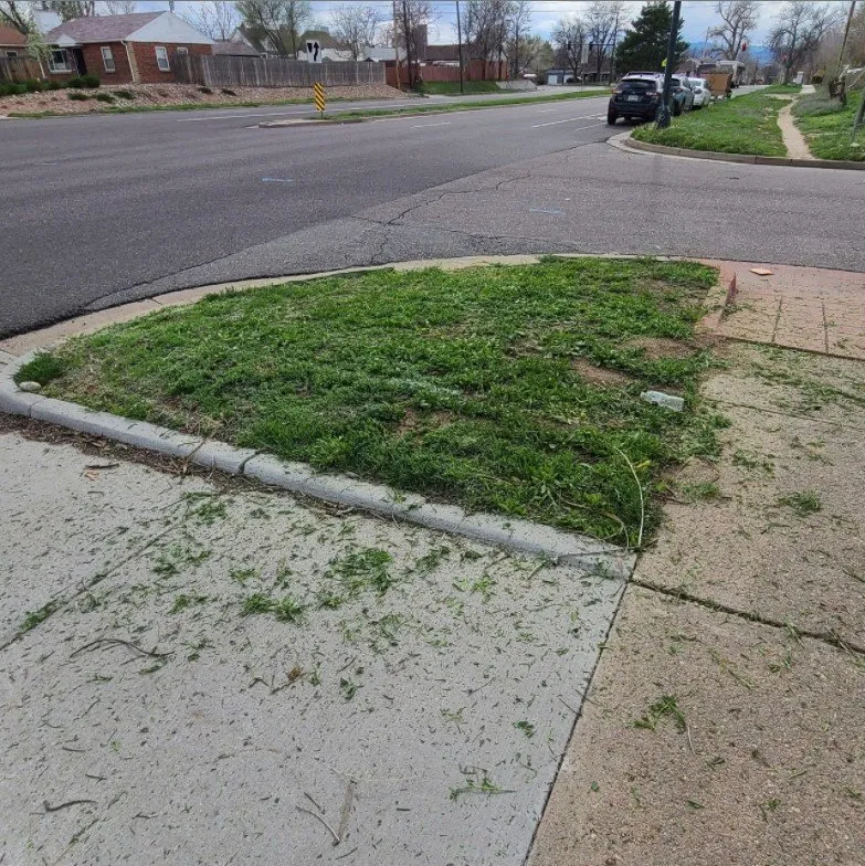 Trusted landscape design experts serving Commerce City, CO - Cutting4College