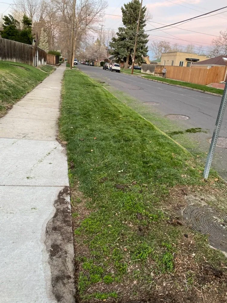 Trusted lawn mowing service for beautiful yards in Commerce City, CO by Cutting4College