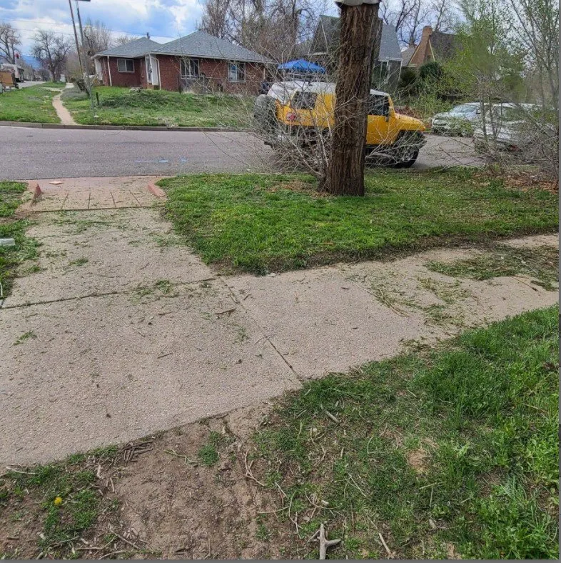 Reliable landscaping services experts serving Commerce City, CO - Cutting4College