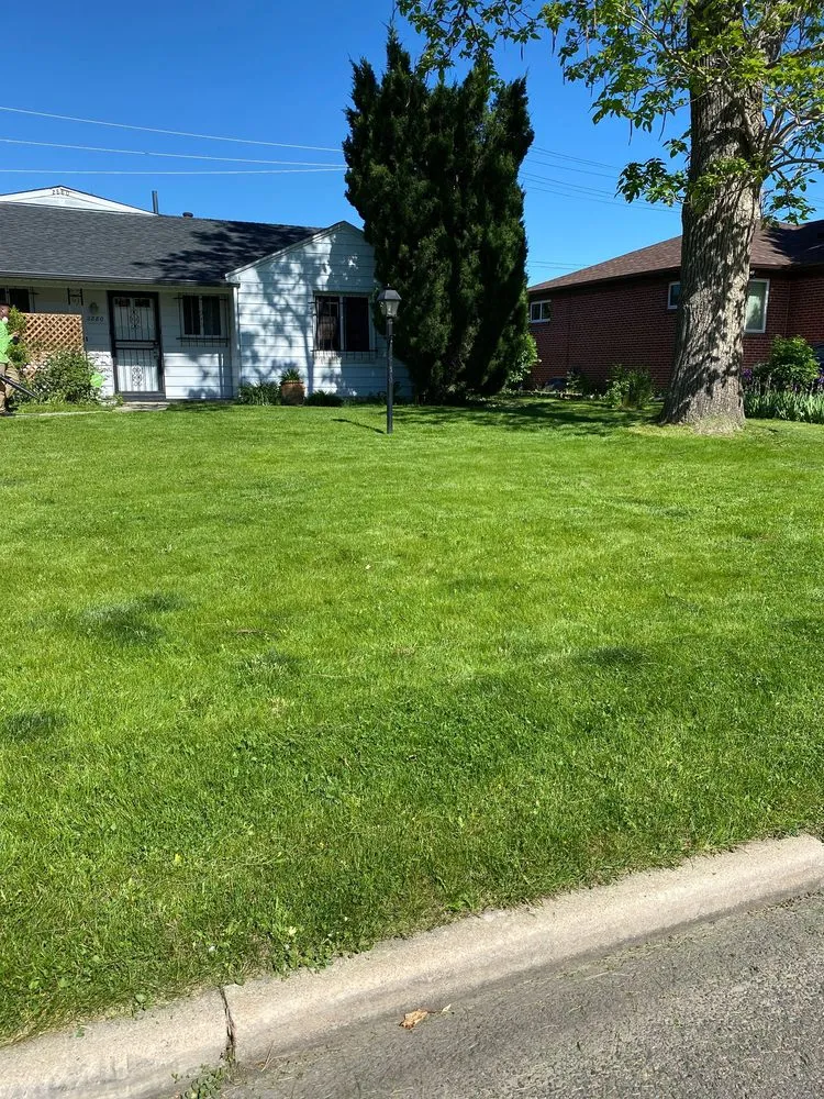 Reliable lawn care service in Commerce City, CO by Cutting4College