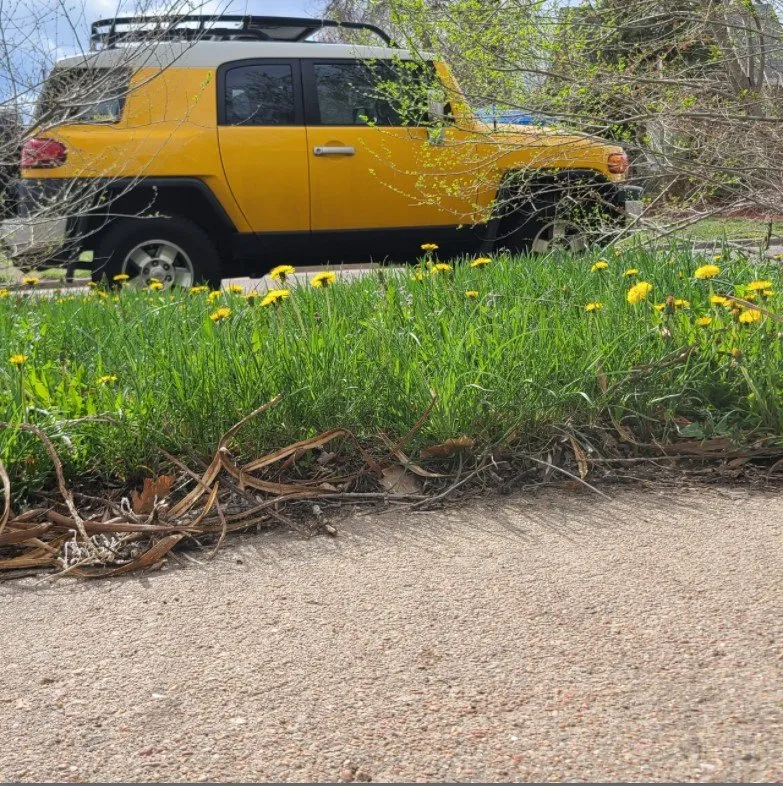 Top-rated landscape design in Commerce City, CO by Cutting4College