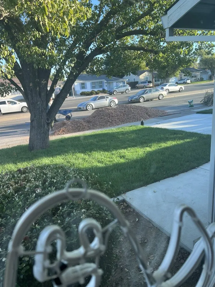 Custom lawn care service near you in Sacramento, CA by CuttingEdge Landscape & Tree Inc.