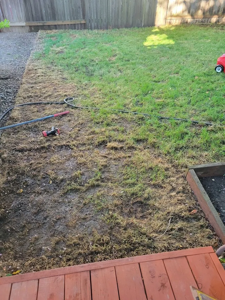 Affordable landscape design with custom design in Sacramento, CA by CuttingEdge Landscape & Tree Inc.