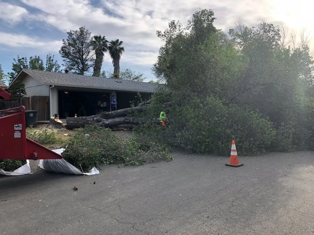 Local lawn care service in Sacramento, CA - CuttingEdge Landscape & Tree Inc.