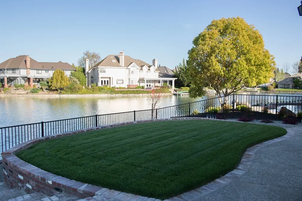 Custom yard cleanup service near you across Sacramento, CA - CuttingEdge Landscape & Tree Inc.