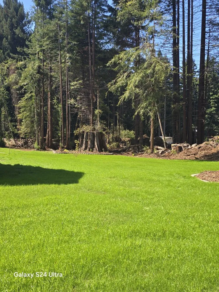 Professional lawn mowing service in Crescent City, CA - Cuttingedge Lawn Care