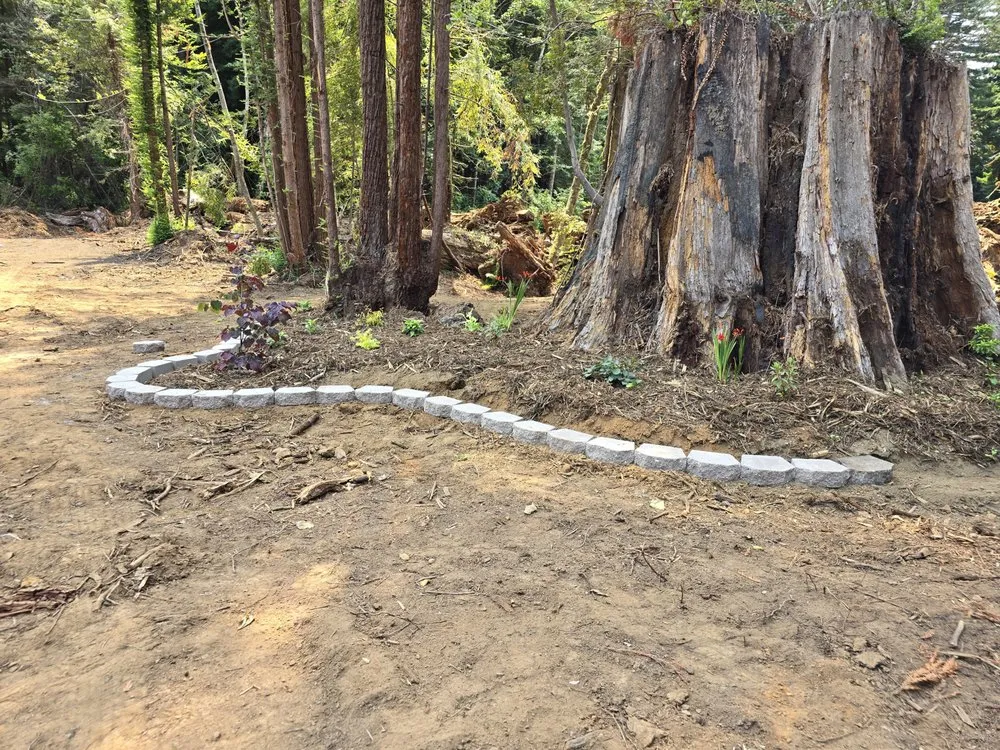 Custom yard cleanup service experts serving Crescent City, CA - Cuttingedge Lawn Care