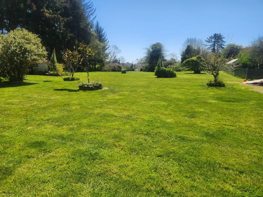 Custom yard maintenance experts serving Crescent City, CA - Cuttingedge Lawn Care