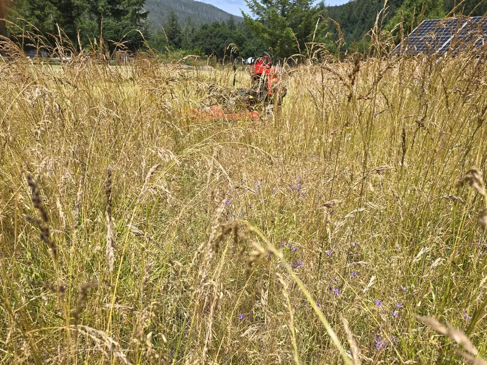 Affordable outdoor landscaping in Crescent City, CA - Cuttingedge Lawn Care