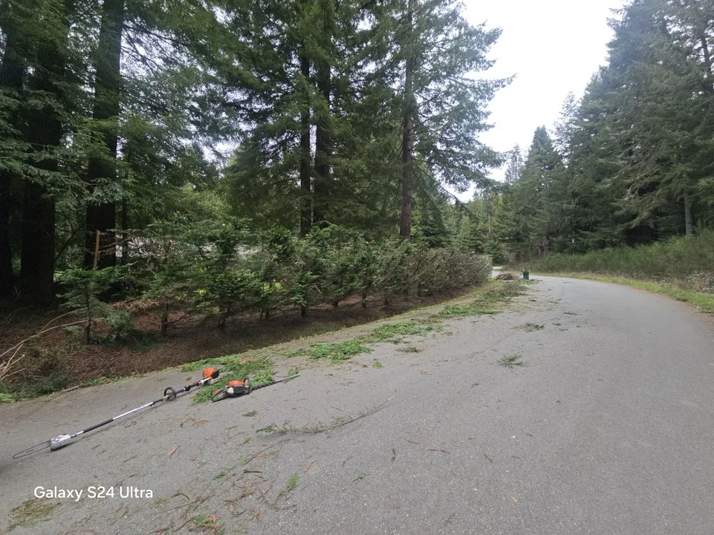 Reliable garden landscaping in Crescent City, CA by Cuttingedge Lawn Care