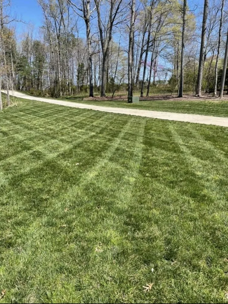 Top-rated yard cleanup service experts serving Winston-Salem, NC - Cuttingedge lawn care