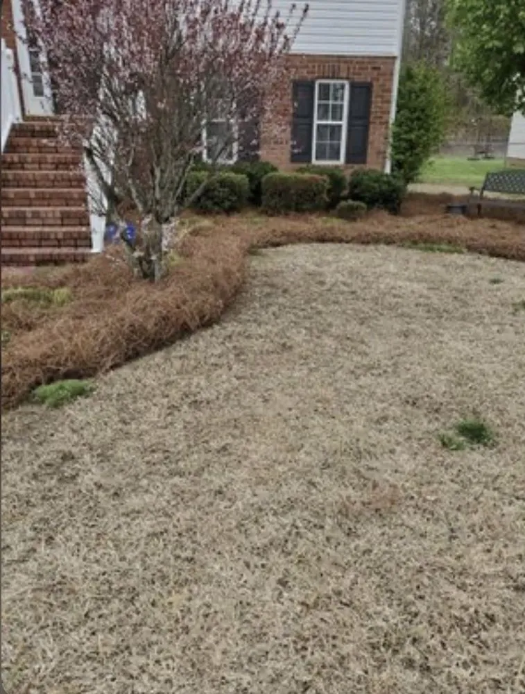 Local lawn care service for year-round maintenance in Winston-Salem, NC by Cuttingedge lawn care
