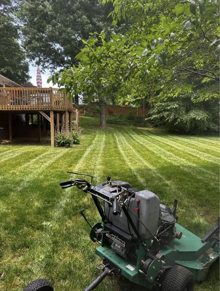 Professional landscape installation in Winston-Salem, NC by Cuttingedge lawn care