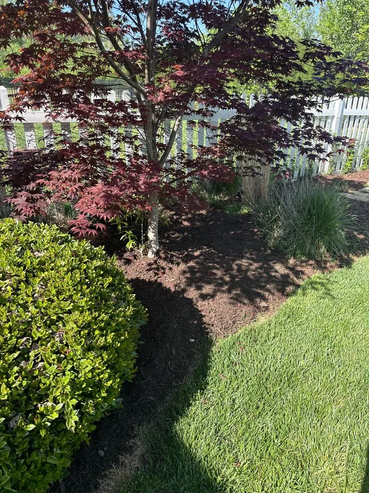 Local residential landscaping in Winston-Salem, NC - Cuttingedge lawn care