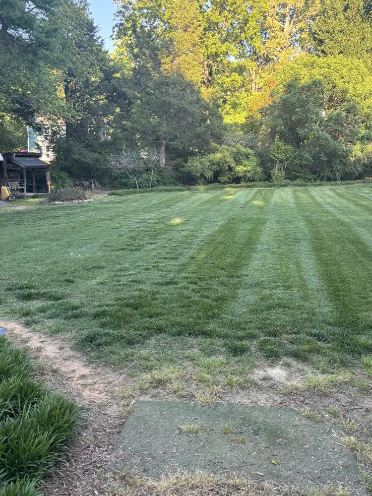 Local lawn mowing service in Winston-Salem, NC by Cuttingedge lawn care