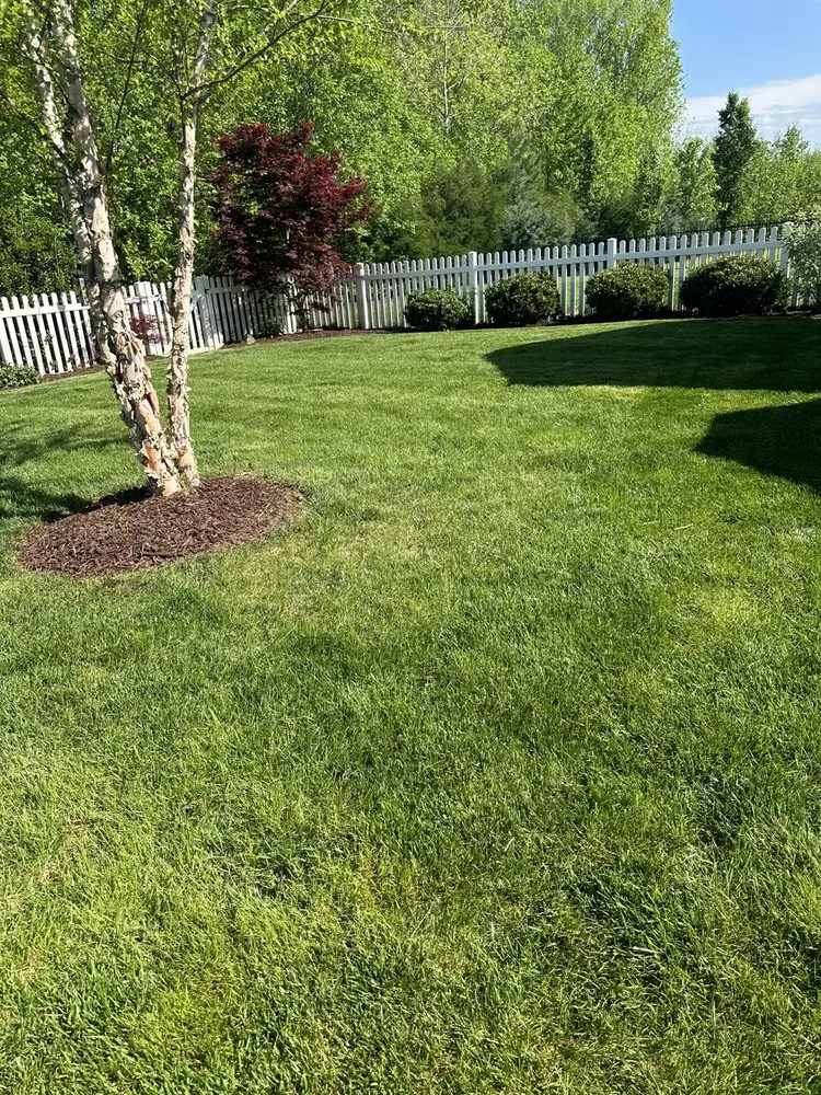 Custom landscaping services in Winston-Salem, NC - Cuttingedge lawn care
