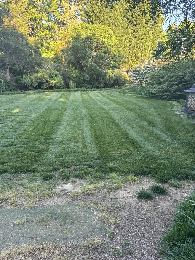 Top-rated yard cleanup service in Winston-Salem, NC - Cuttingedge lawn care