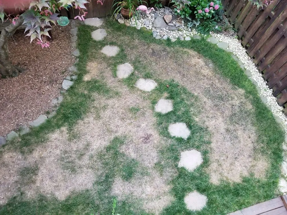 Trusted landscape design experts serving Manassas, VA - CuttingEdge Lawncare Services