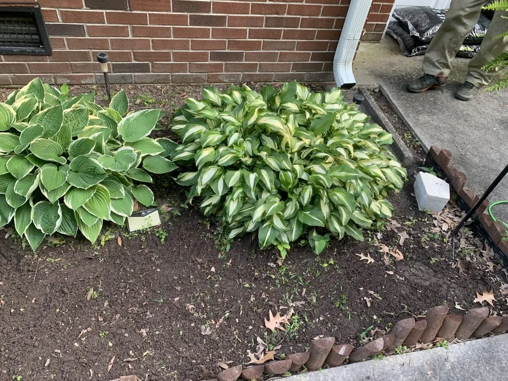 Trusted garden landscaping in Hampton, VA by Cuttinuplawncare757