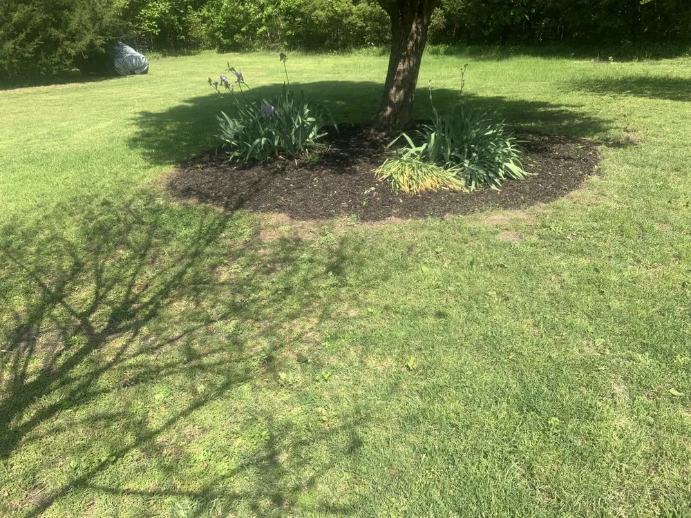 Reliable lawn care service experts serving Hampton, VA - Cuttinuplawncare757