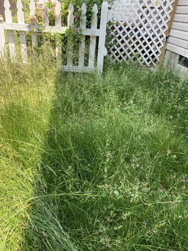 Expert residential landscaping near you in Hampton, VA by Cuttinuplawncare757