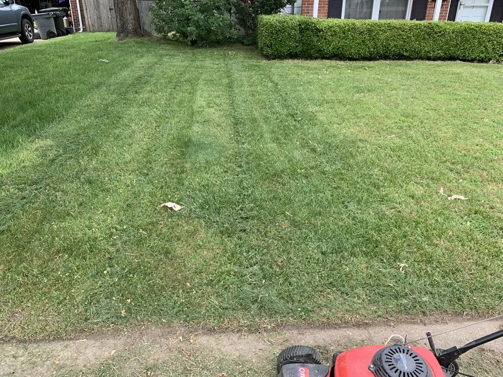 Custom lawn mowing service in Hampton, VA - Cuttinuplawncare757