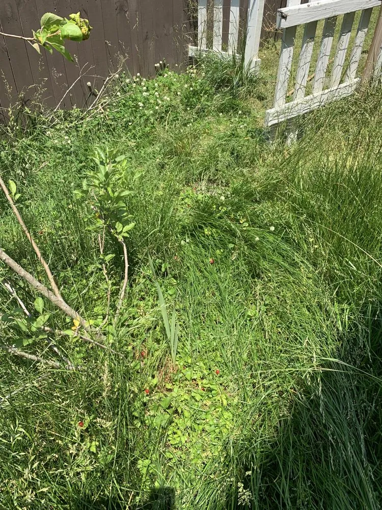 Top-rated garden landscaping for year-round maintenance across Hampton, VA - Cuttinuplawncare757