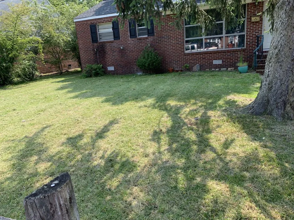 Top-rated lawn mowing service for outdoor upgrades across Hampton, VA - Cuttinuplawncare757