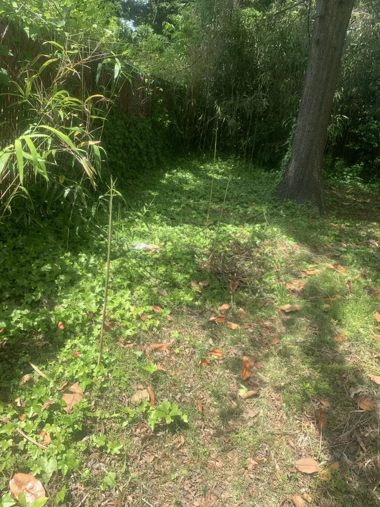 Custom landscape design in Hampton, VA by Cuttinuplawncare757