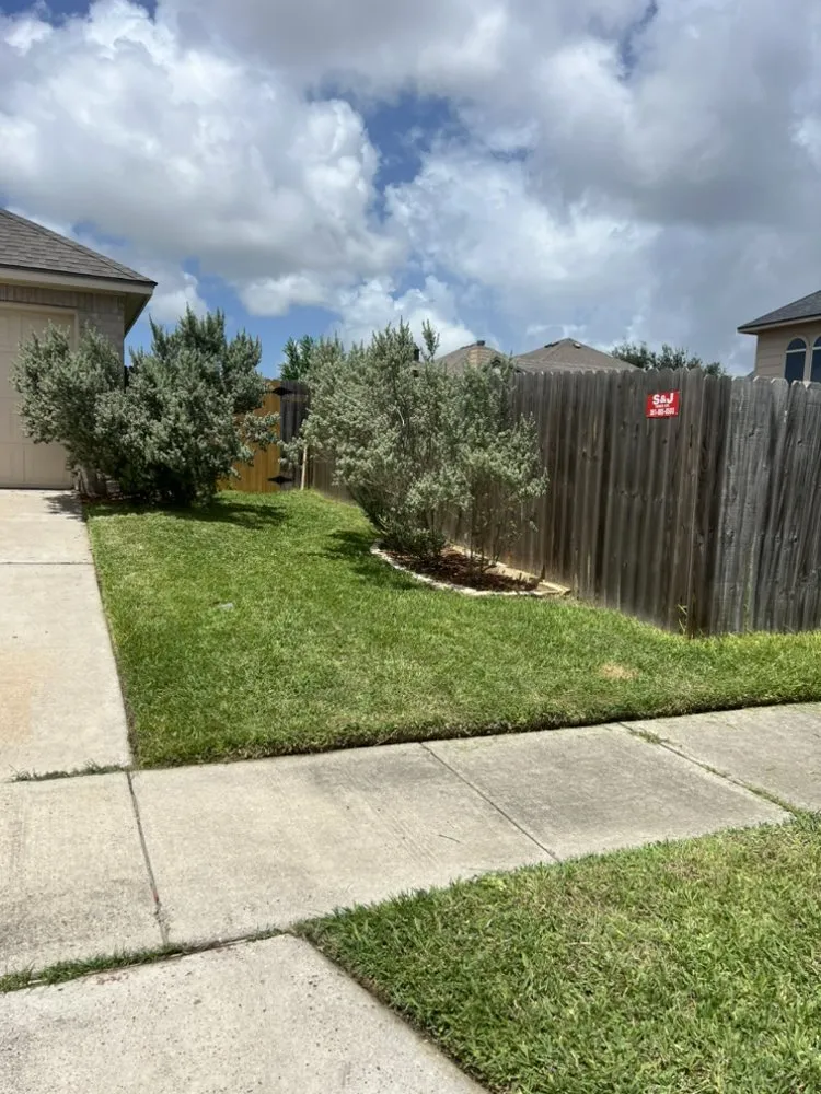 Trusted yard cleanup service experts serving Corpus Christi, TX - Cutz Grass