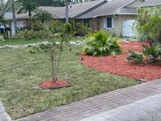 Affordable lawn mowing service in Twn N Cntry, FL by Cutz VIP Landscaping
