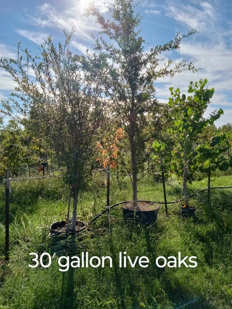 Reliable residential landscaping experts serving Amarillo, TX - CV & Son's Landscaping