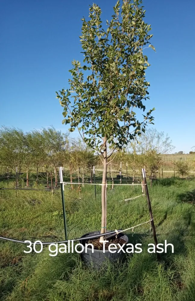 Custom landscape design experts serving Amarillo, TX - CV & Son's Landscaping