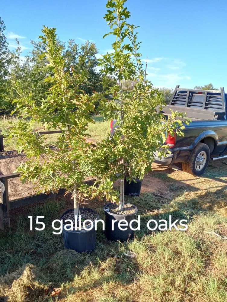 Reliable residential landscaping in Amarillo, TX by CV & Son's Landscaping