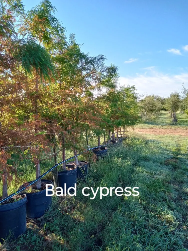 Professional outdoor landscaping in Amarillo, TX - CV & Son's Landscaping