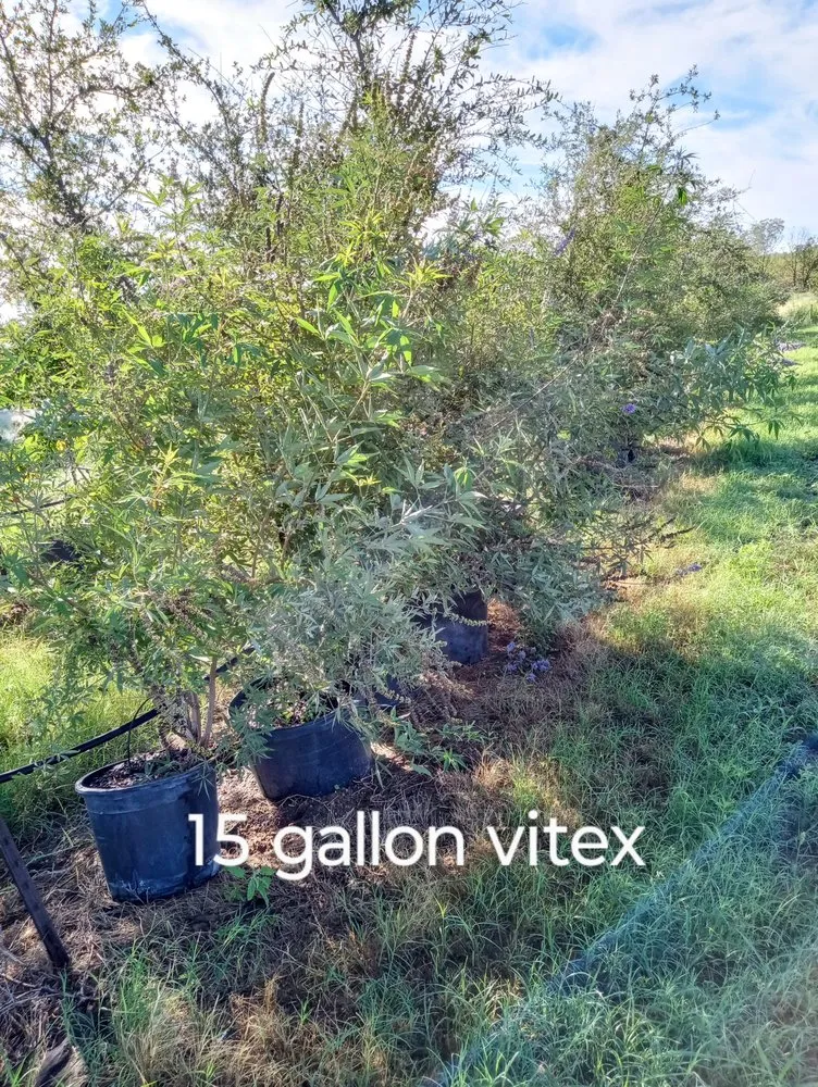 Custom outdoor landscaping experts serving Amarillo, TX - CV & Son's Landscaping